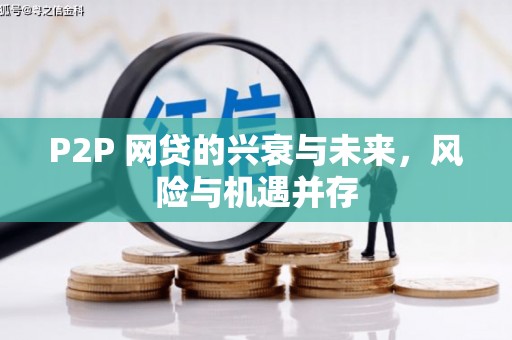 南投市P2P 网贷的兴衰与未来，风险与机遇并存
