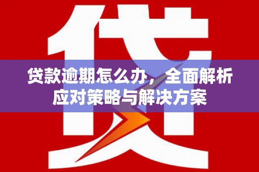 南投市贷款逾期怎么办，全面解析应对策略与解决方案