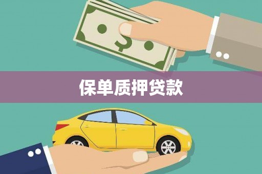 南投市保单质押贷款