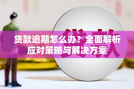 南投市贷款逾期怎么办？全面解析应对策略与解决方案