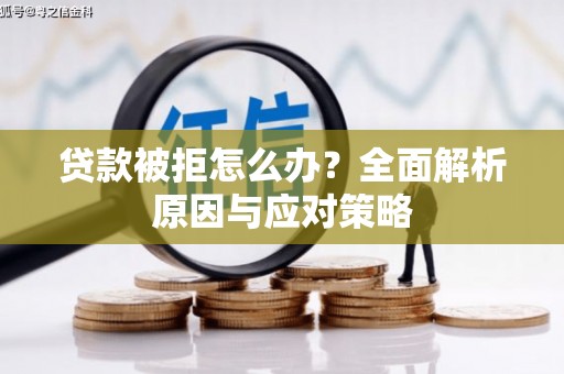 南投市贷款被拒怎么办？全面解析原因与应对策略