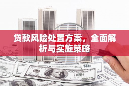 南投市贷款风险处置方案，全面解析与实施策略